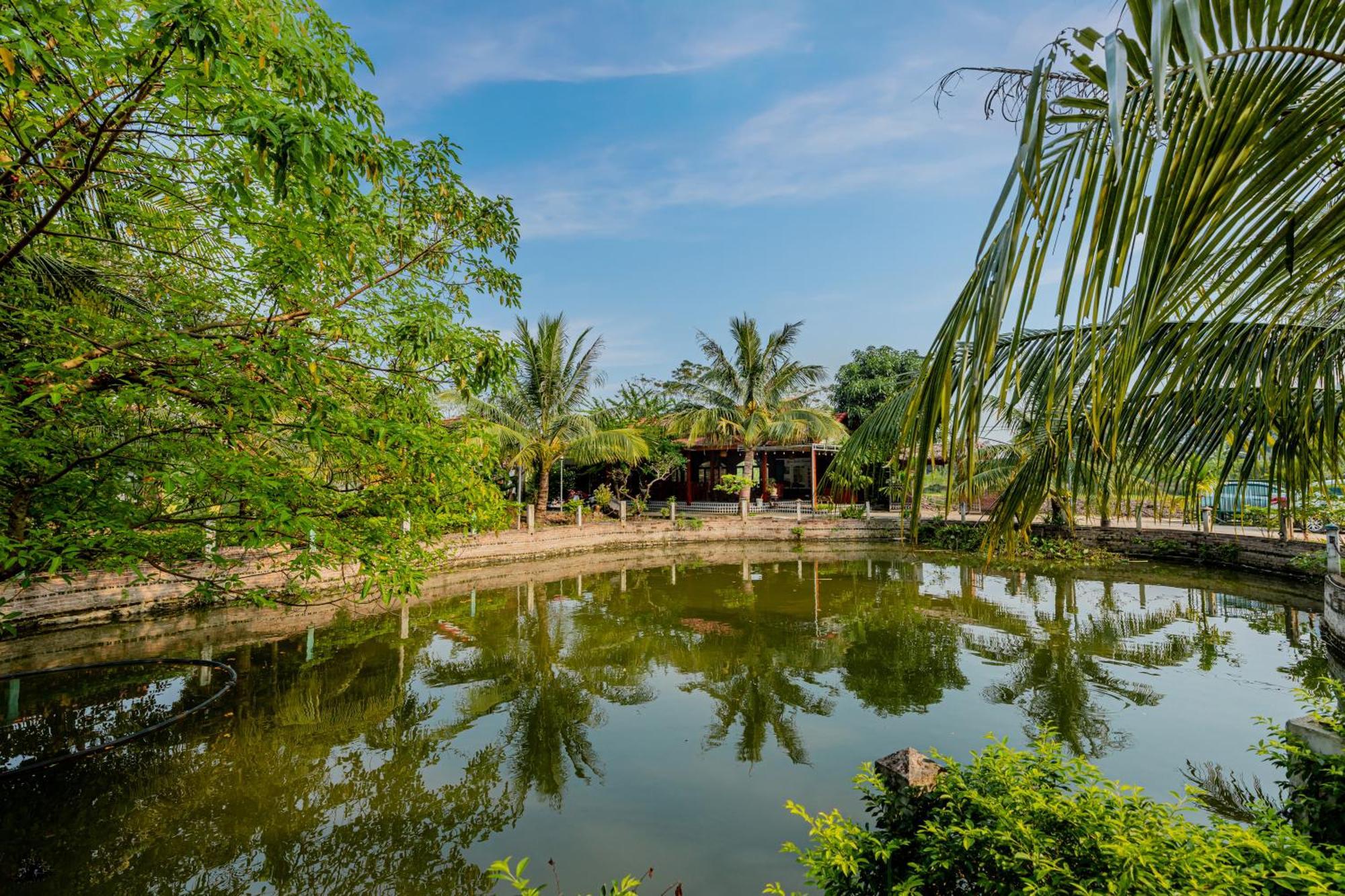 Tam Coc Green Garden Bungalow Ниньбинь Экстерьер фото