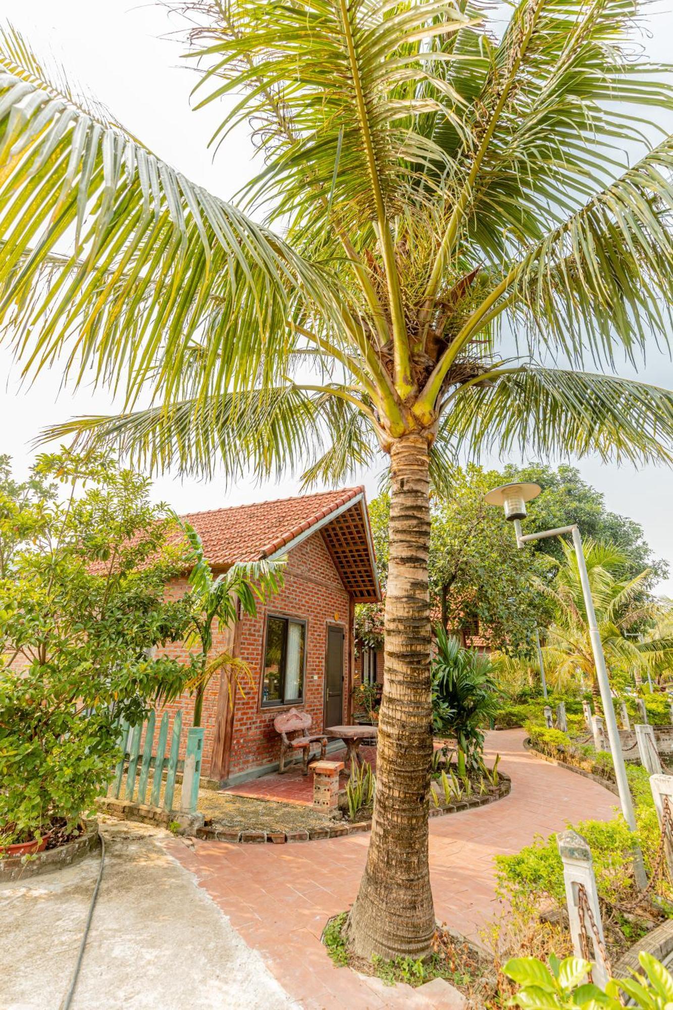 Tam Coc Green Garden Bungalow Ниньбинь Экстерьер фото
